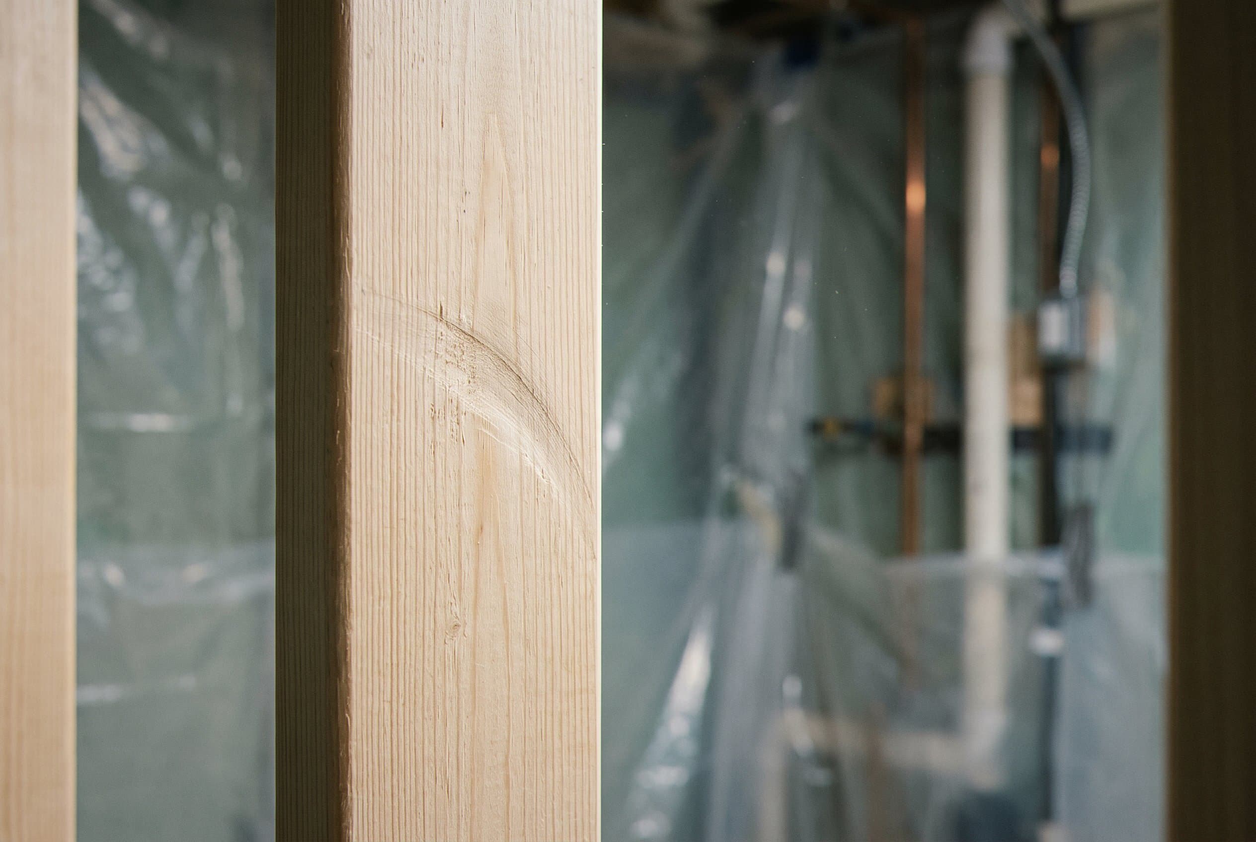 Close-up of mold colony on drywall and framing