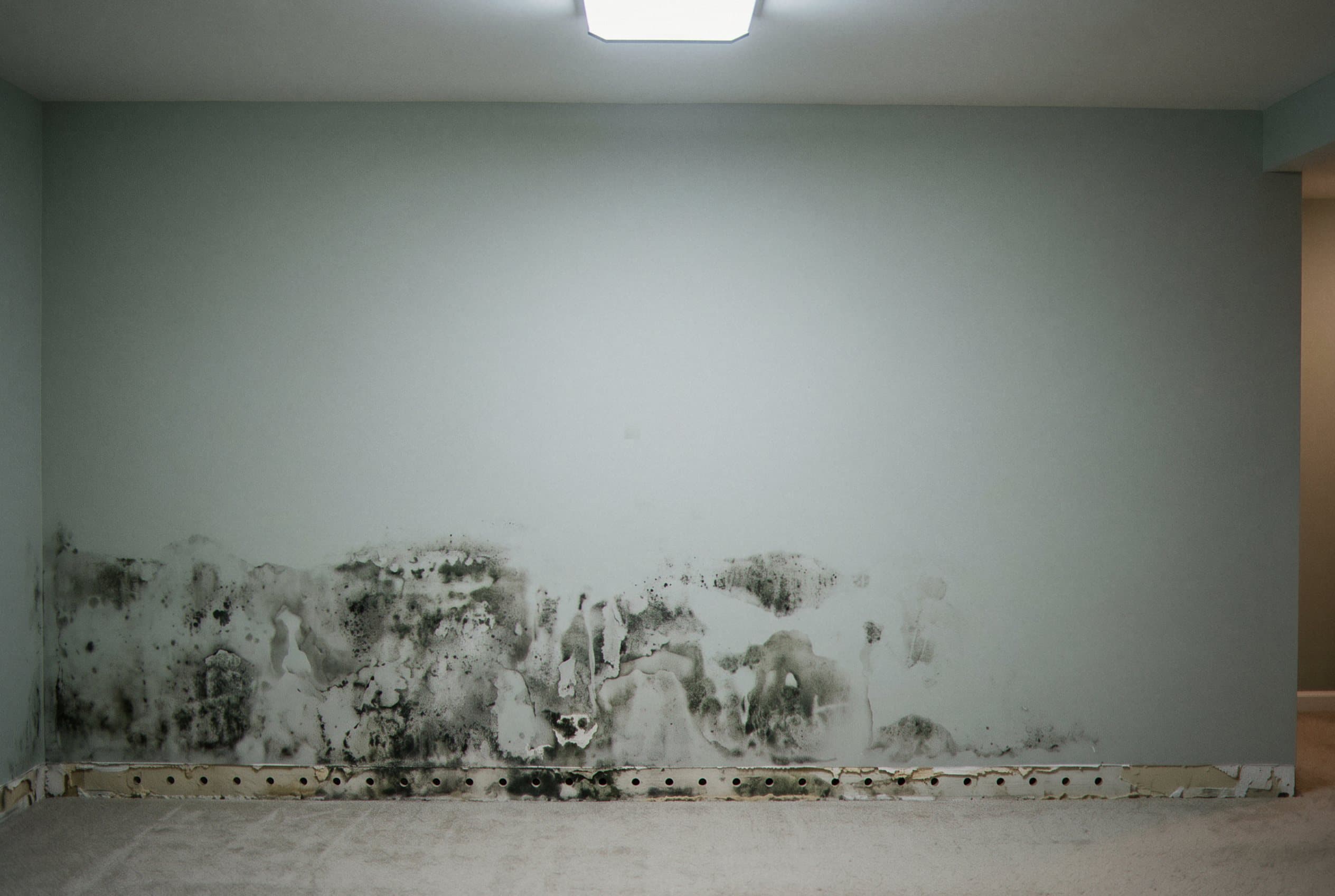 Visible water saturation marks on basement walls and floors
